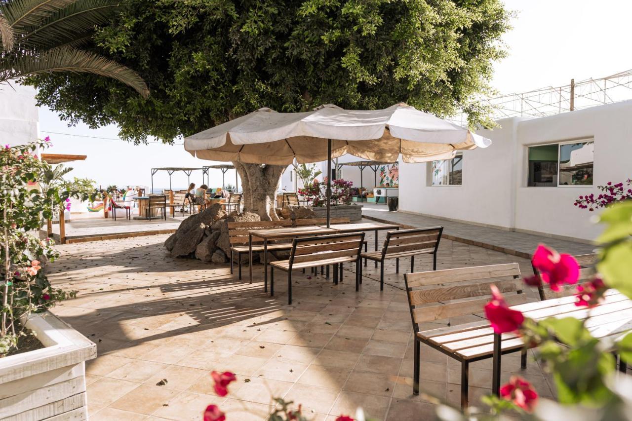 The Tree House Tenerife Эль-Медано Экстерьер фото